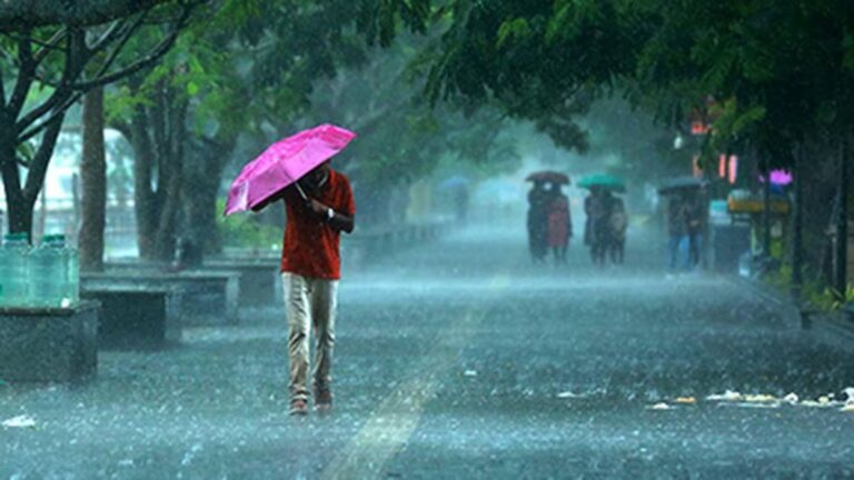 India Likely to See Above-Normal Rainfall in July, IMD Forecast Brings Hope for Agriculture and Economy
