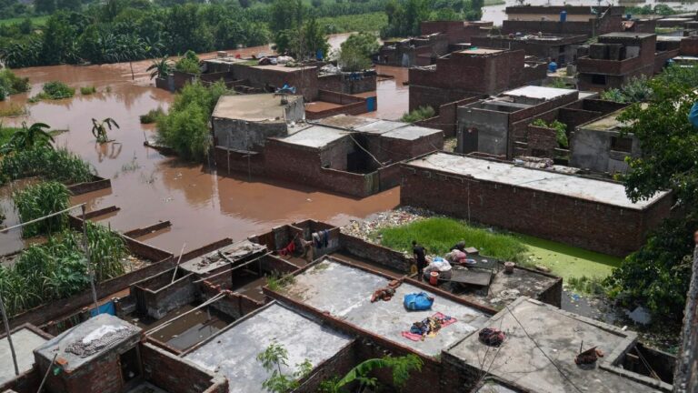 Nearly Half a Million Displaced as Monsoon Floods Ravage Eastern Pakistan