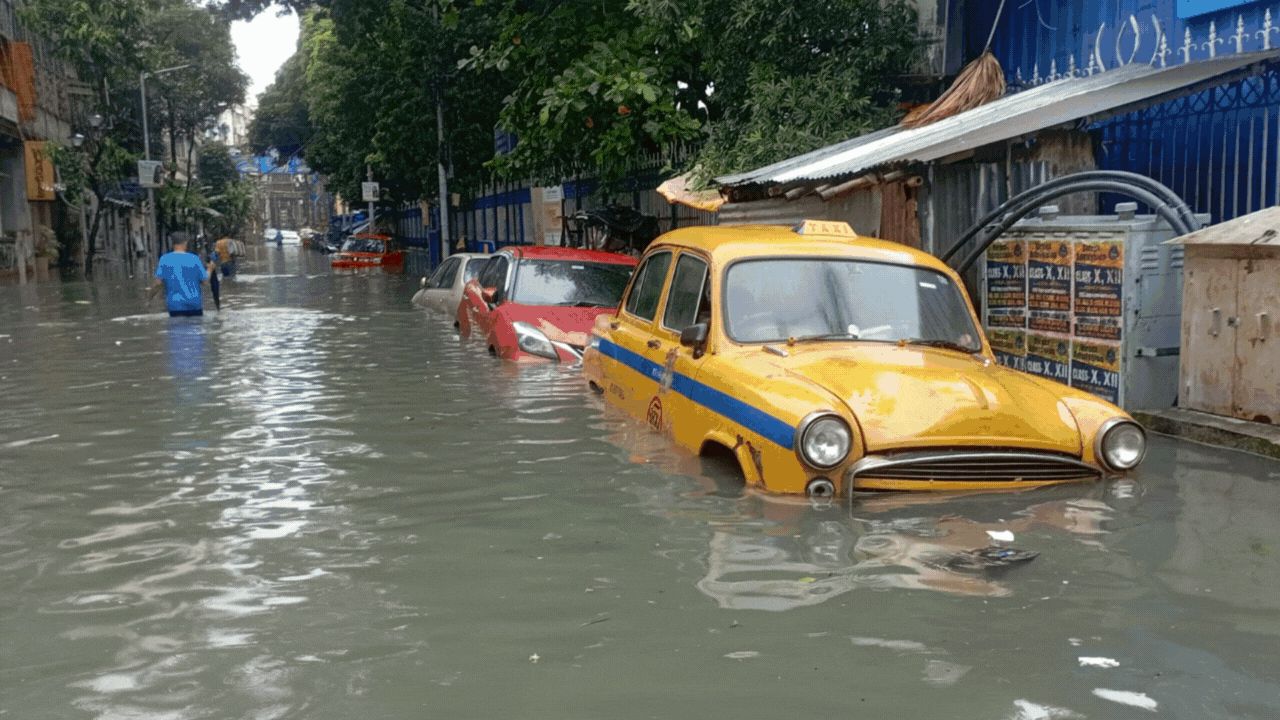 Heavy Rains