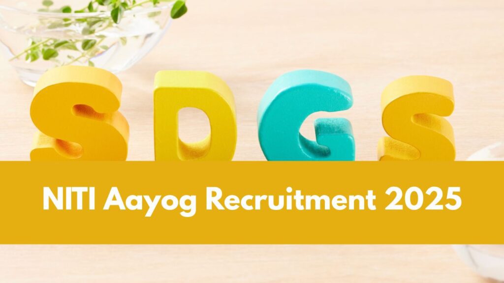 Niti aayog jobs 2025