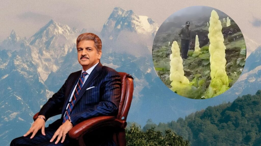 Anand Mahindra on Sikkim Sundari