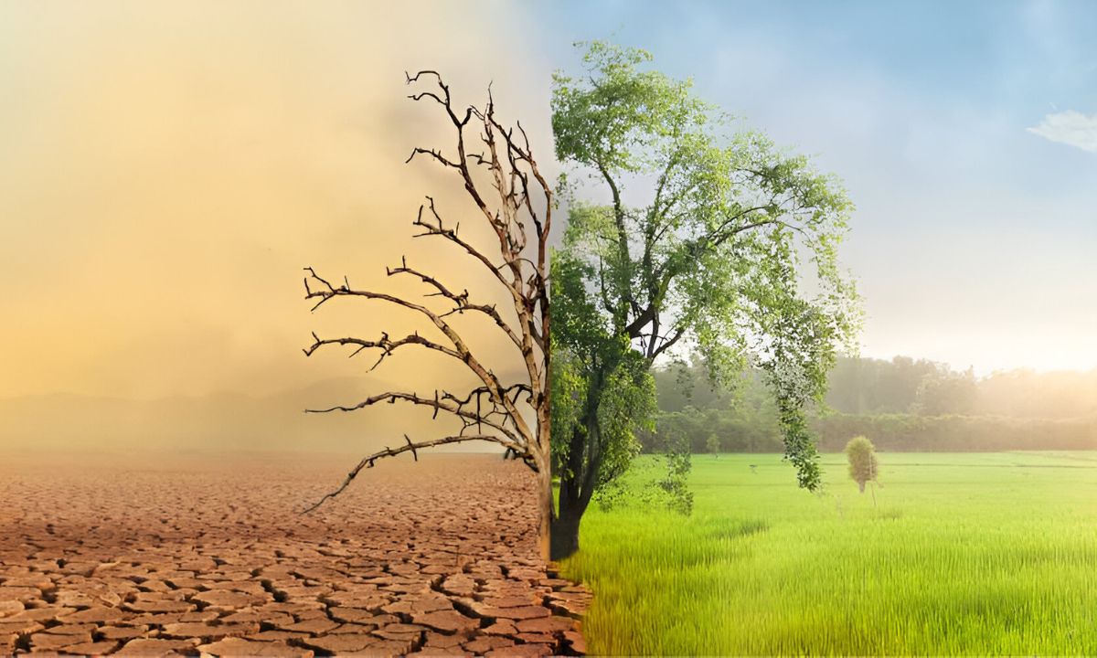 Climate-Change-COP