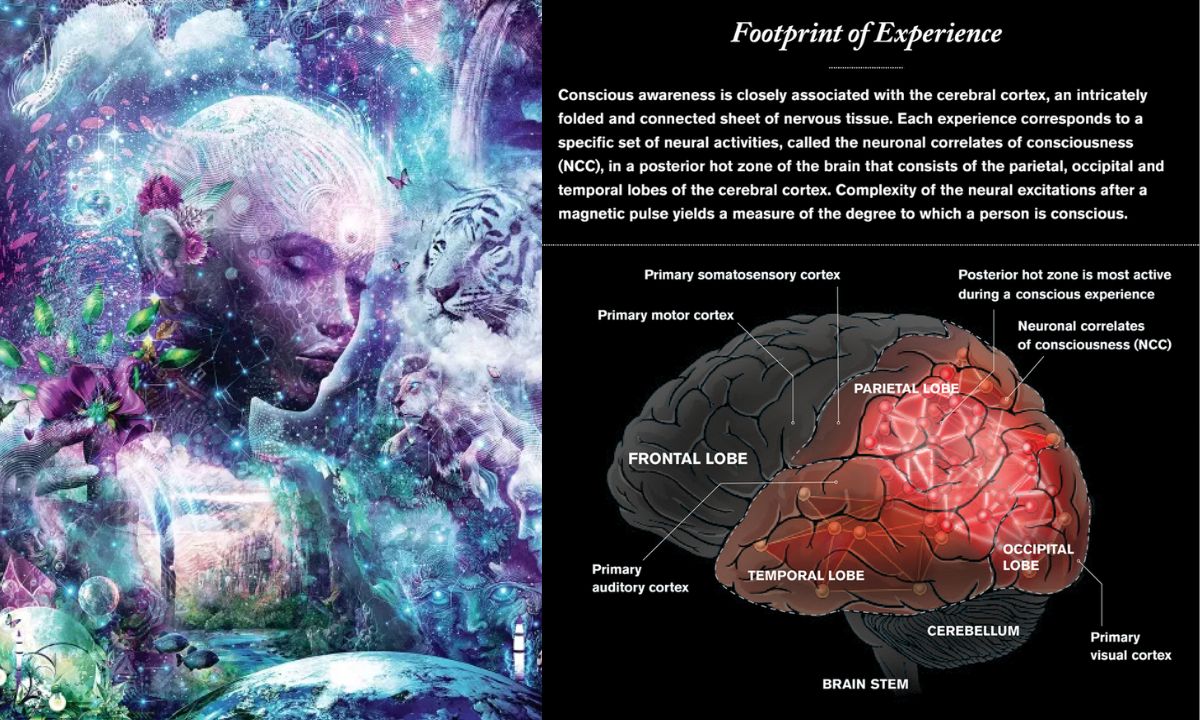Consciousness