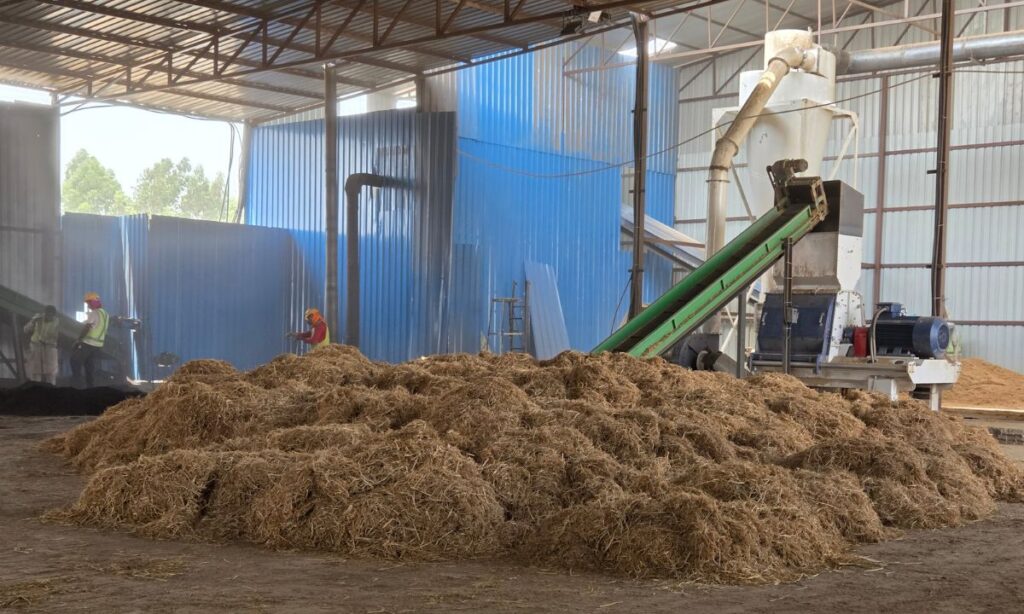Biofuel