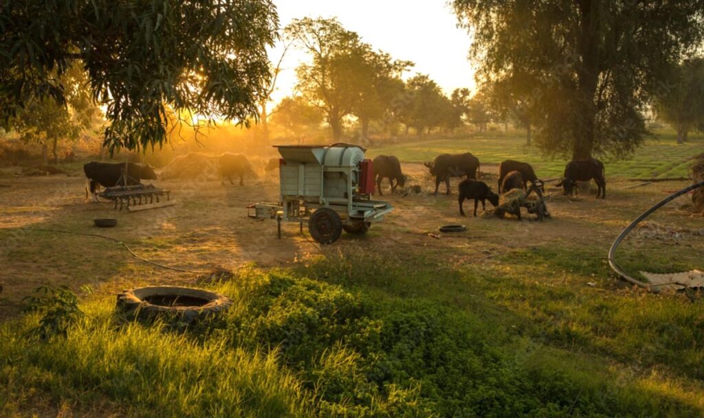 Rural Developement
