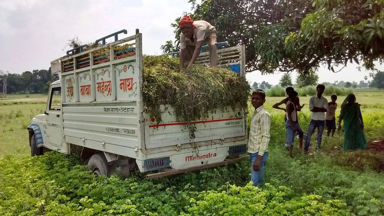 DeHaat