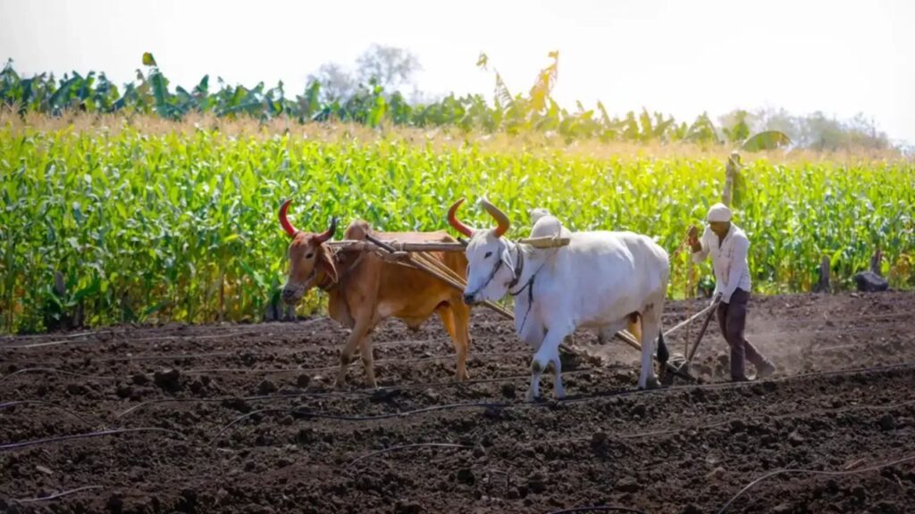 PM-KISAN