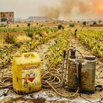 Pesticides in Agriculture