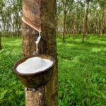 Rubber Industry