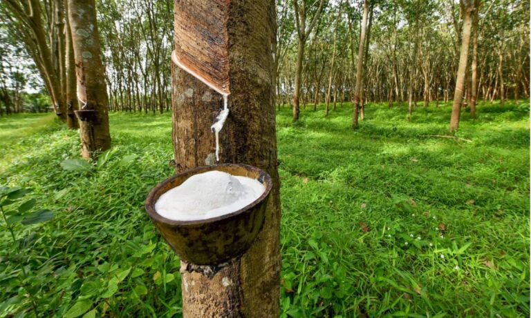 Rubber Industry